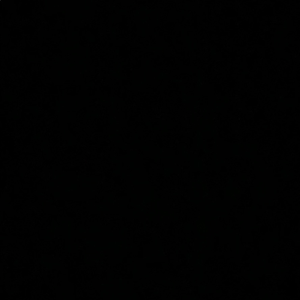 Meet your Posher, Liza